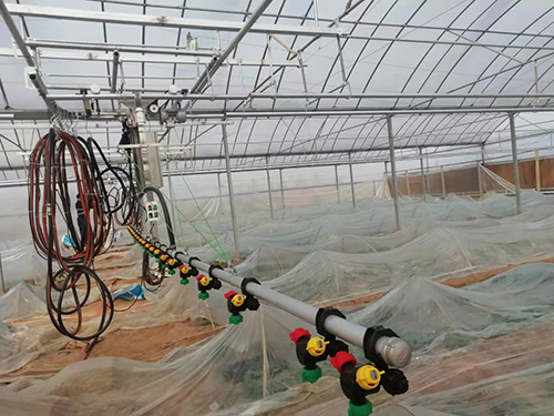 如何防 治溫室育苗的常見(jiàn)病害？